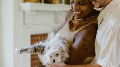 5 Stock Photo Sites to Make Your Content Inclusive & Diverse