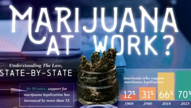 How Local Marijuana Laws Shape Your Business’s Future
