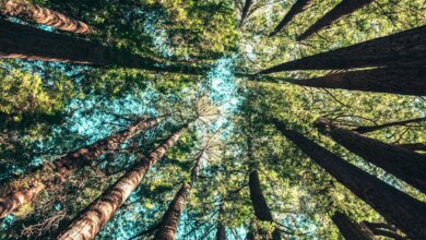 Ditch the Hard Sell by Automating Your Marketing Using a Marketing Engine That Effortlessly Attracts the Right People (and Repels the Wrong Ones) — Bolder&Louder